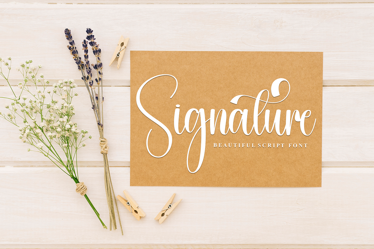Budget | Script Font, a Handwritten Font by Scratchones (Photo 4 of 9)