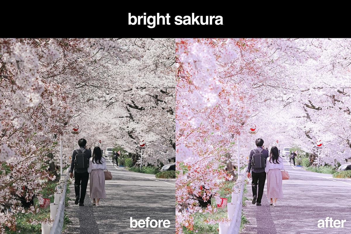 11 Japanese Lightroom Presets, a Preset Add-On by Gridfiti (Photo 4 of 12)