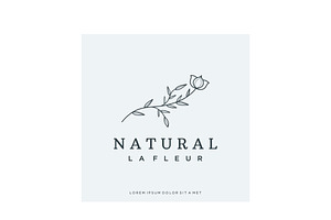 Botanical logo design with outline c, a Branding & Logo Template by LOGOCREATIVE