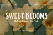 Birchside - A Condensed Serif, a Serif Font by Xelo Graph (Thumbnail 7 of 8)