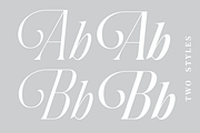 Aliase: Cursive Modern Font, a Script Font by Andfonts (Thumbnail 2 of 6)