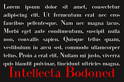 Intellecta Bodoned, a Serif Font by Intellecta Design (Thumbnail 4 of 5)
