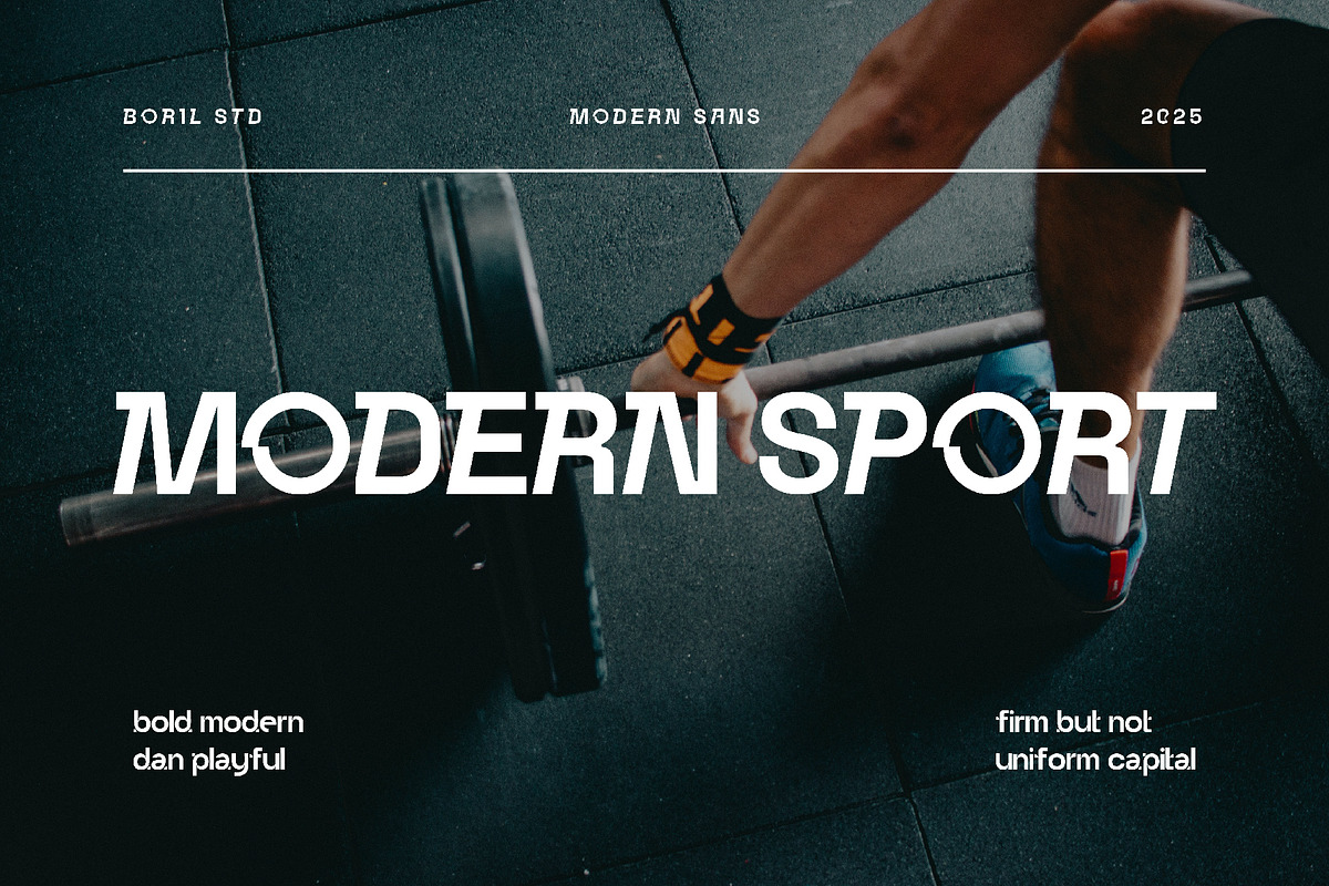 Gakori - Modern Sans, a Sans Serif Font by Boril Std (Photo 3 of 10)