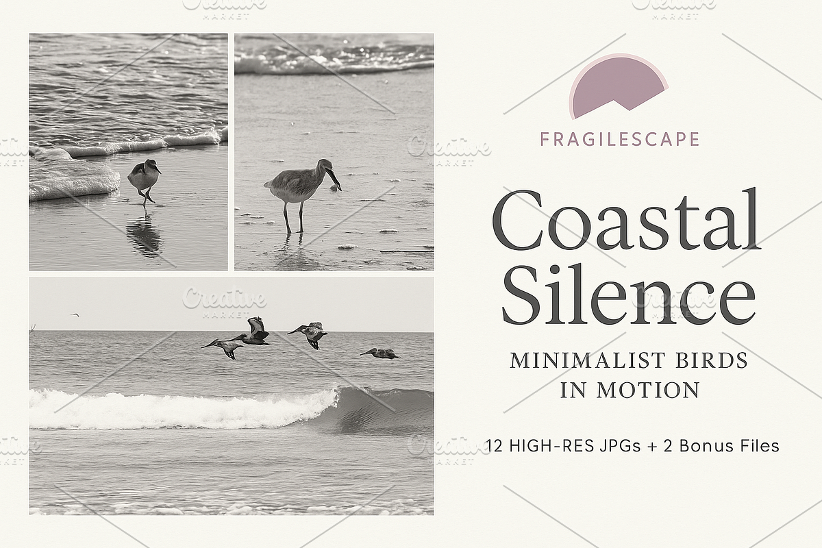 Coastal Silence: Minimalist Birds, an Animal Photo by Fragilescape (Photo 2 of 2)