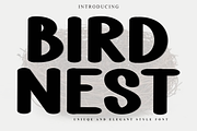 Bird Nest, a Script Font by FreshTypeINK (Thumbnail 1 of 8)