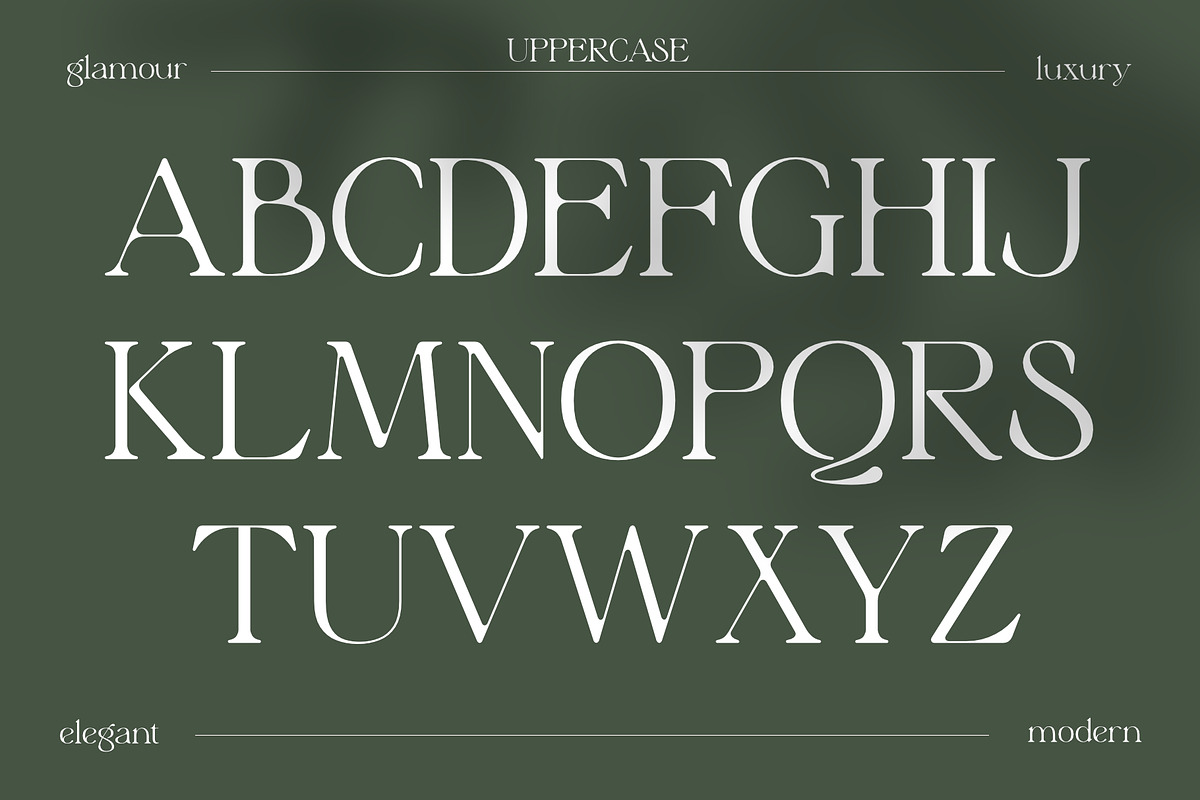 Elyaris | Stylish Serif, a Serif Font by Sealoung (Photo 12 of 17)