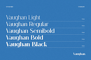 Vaughan Sans, a Sans Serif Font by FactoryType Studio (Thumbnail 3 of 12)