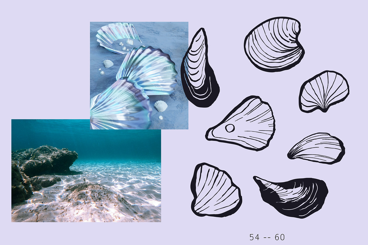 Seashells Hand drawn vector elements, a Seasonal Illustration by Lena Nikolaeva (Photo 12 of 14)