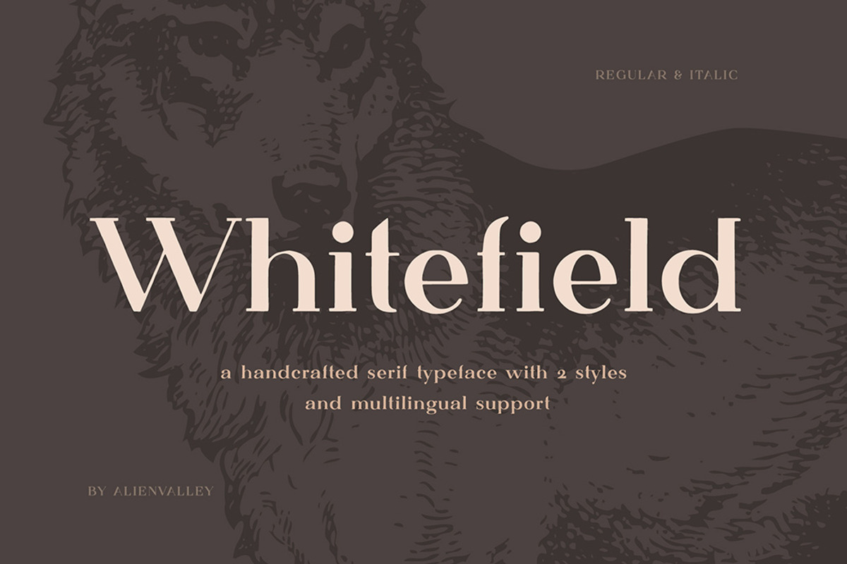 The Versatile Font Bundle preview 3