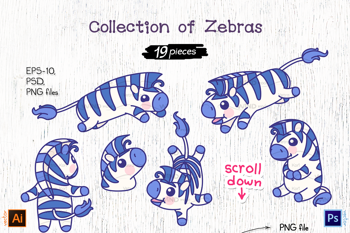 vector set Summer Party with zebra, an Illustration by WINDmade (Photo 3 of 11)