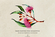 Watercolor Eucalyptus, a Decorative Illustration by Karliefie (Thumbnail 3 of 4)