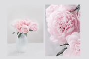 Pink Peonies Collection, an Arts & Entertainment Photo by Anntuan (Thumbnail 8 of 10)