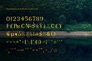 Airiya Mack - Serif Typeface Font, a Serif Font by Rishsketch (Thumbnail 12 of 15)