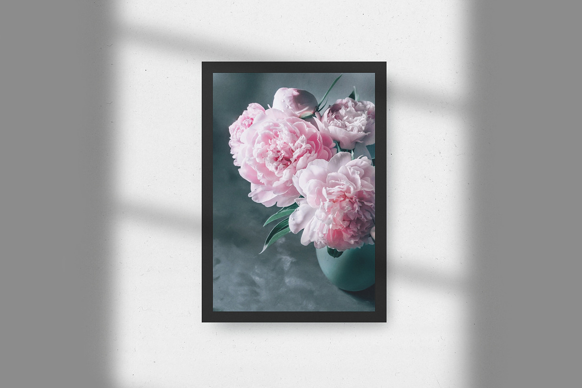Pink Peonies Collection, an Arts & Entertainment Photo by Anntuan (Photo 9 of 10)