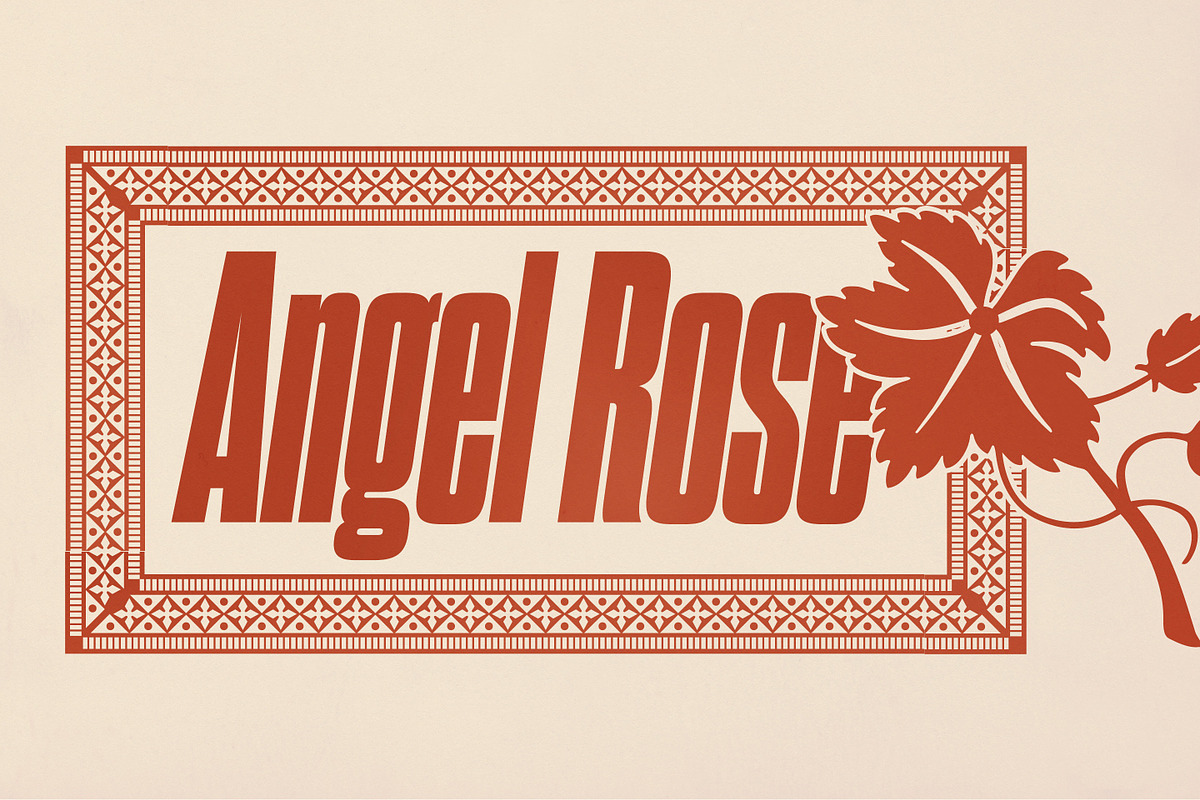 Dharma Gothic, a Sans Serif Font by Dharma Type (Photo 5 of 10)