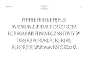Palmire - Modern Serif Typeface, a Serif Font by Masanis (Thumbnail 14 of 17)
