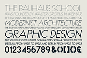 HAUS Sans Extra Bold, a Sans Serif Font by MARTINI Type Designer (Thumbnail 5 of 5)
