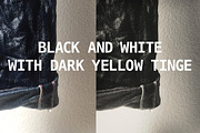 Monochrome Set of Photoshop Actions preview 4