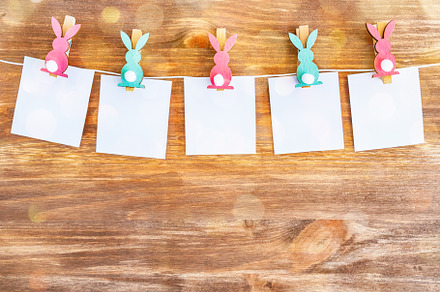 White blanks with rabbits pins on wo