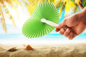 Hand Holding Green Fan on Tropical Beach, a Holiday Photo by Davizro's Market