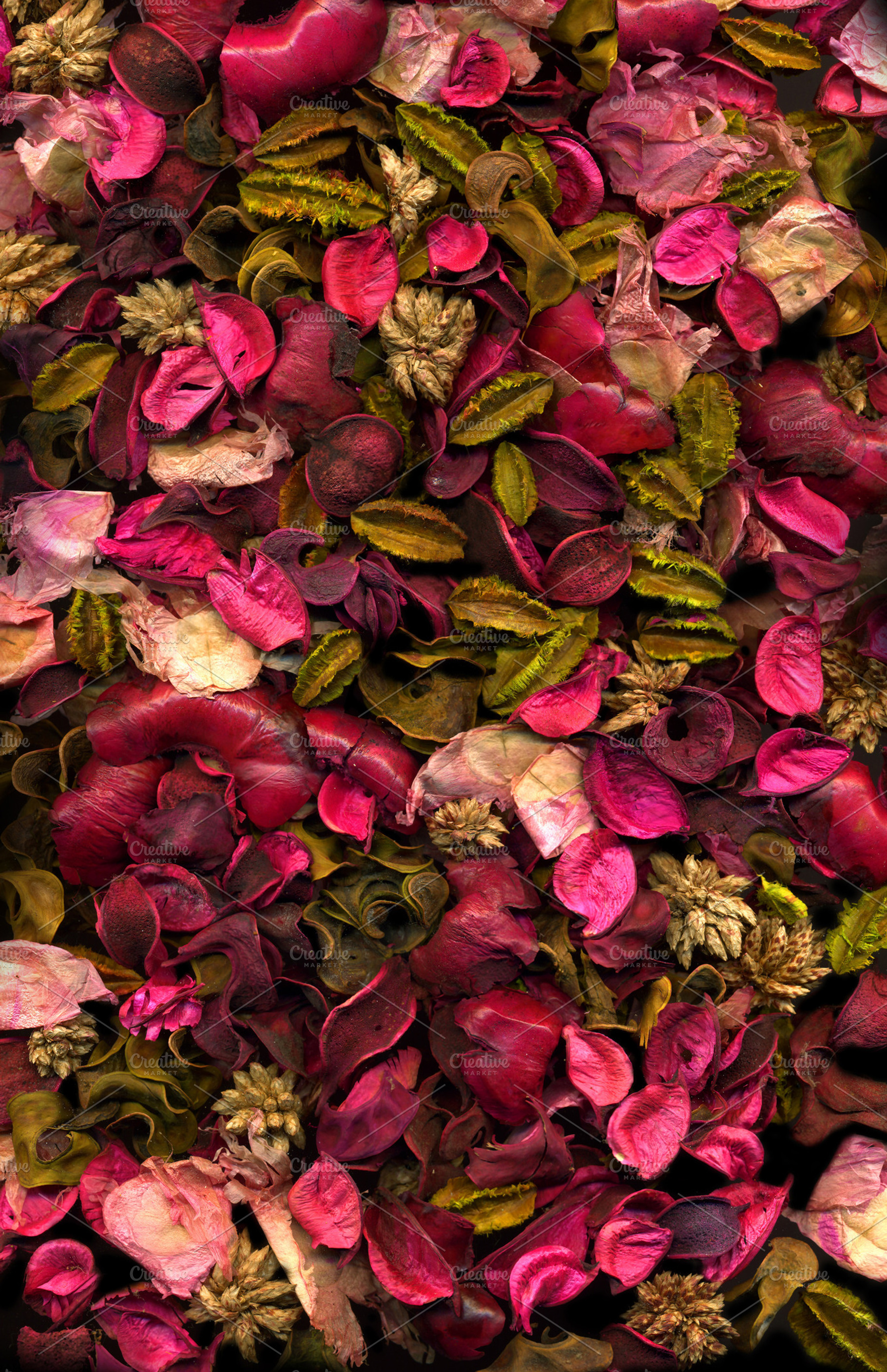 Colorful Floral Background Texture Stock Photo Containing Colorful And Floral