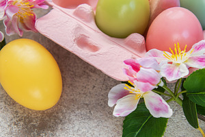 Pastel easter eggs in carton with spring blossoms, a Holiday Photo by Olena Rudo
