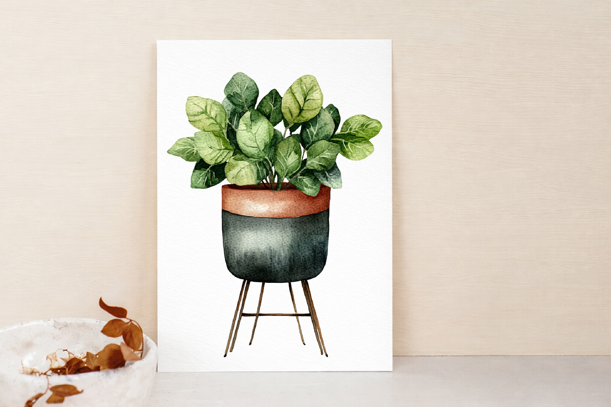 Watercolor Home Plants Clipart, an Illustration by Libby Wishes (Photo 2 of 7)