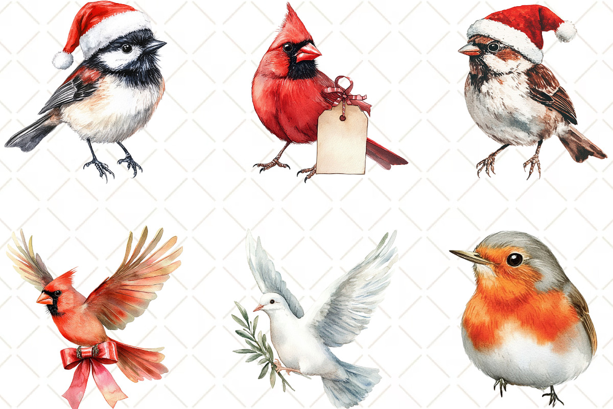 Winter Birds Christmas Clipart, an Illustration by Black Bird Studio (Photo 4 of 6)