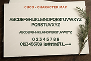 Cuco | Sophisticated Modern Serif, a Serif Font by Astuti Studio (Thumbnail 2 of 24)