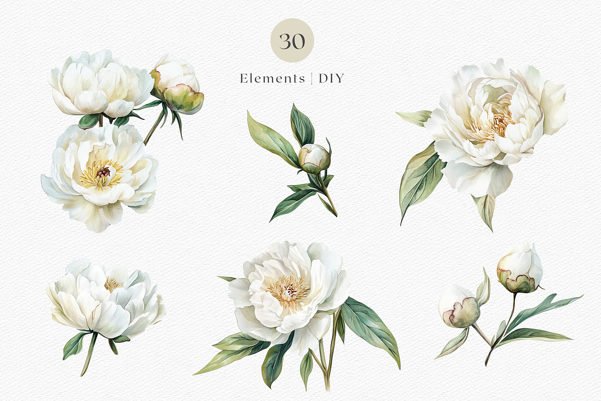 White Peony Watercolor, a Decorative Illustration by ThaismotaCreativeCo (Photo 2 of 10)