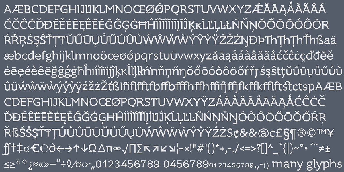 Supra Demiserif, a Slab Serif Font by Wiescher-Design (Photo 5 of 5)