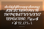 Lelliany | Handwritten Font, a Script Font by gracetype_studio (Thumbnail 13 of 15)
