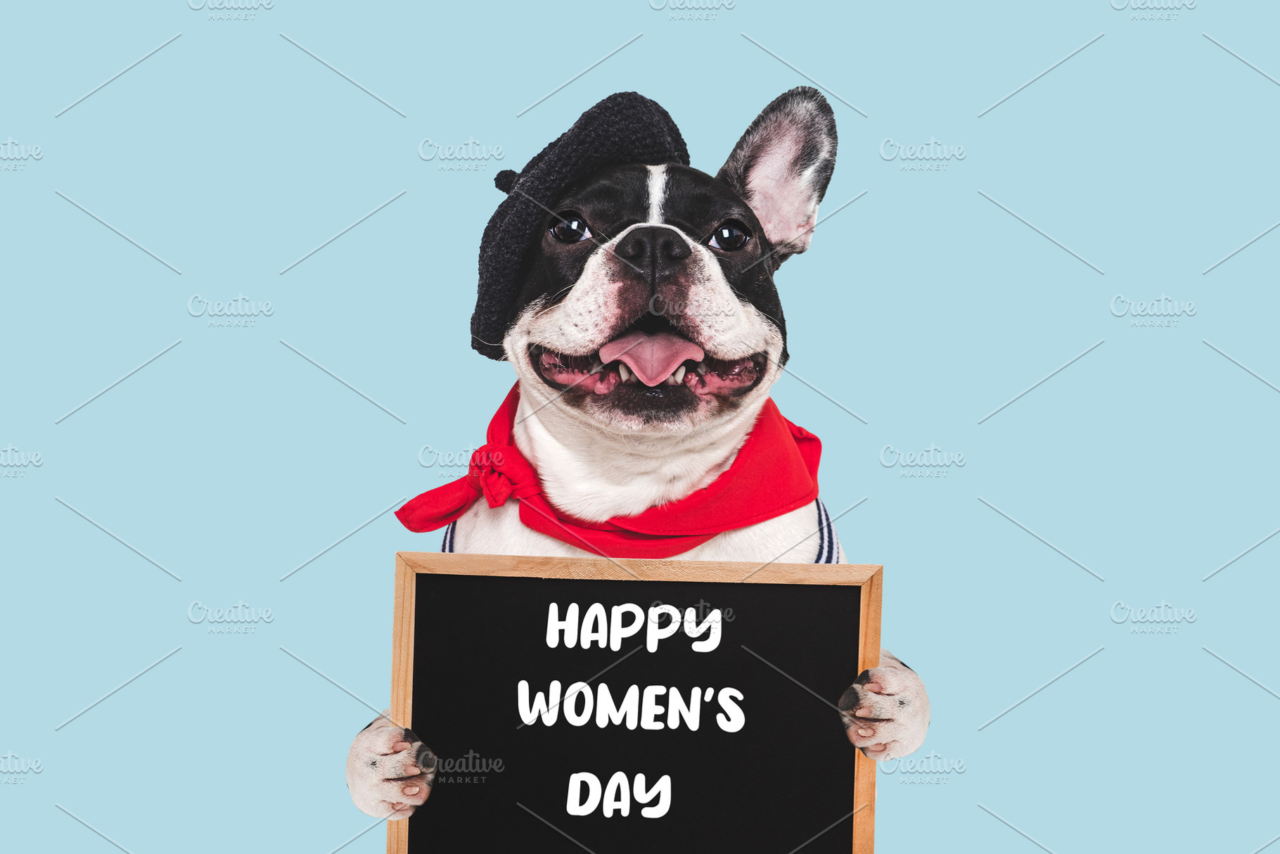 Happy Women's Day. Cute puppy and congratulatory inscription, an Animal Photo by Svetlana Barchan