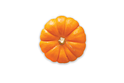 Top view of Mini Pumpkin, a Food & Drink Photo by Professional Assets (Thumbnail 2 of 3)
