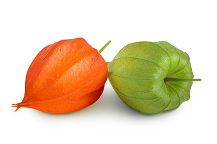 Cape gooseberry, physalis isolated, a Food & Drink Photo by NataPhoto
