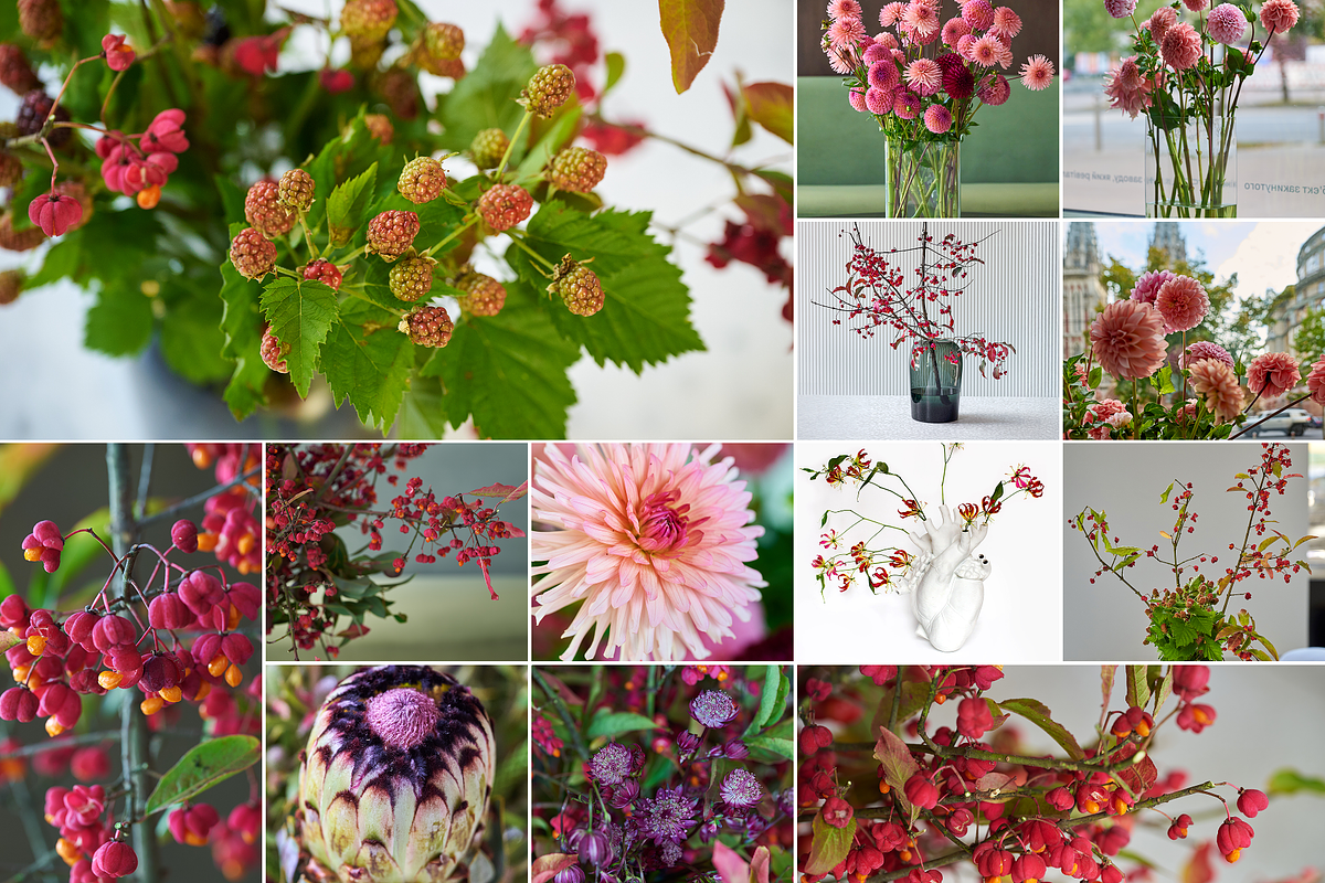 350 Photo Flower Arrangements, a Nature Photo by PopotLane (Photo 6 of 8)