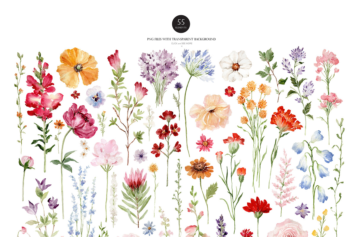 Watercolor Flower -GARDEN WILDFLOWER, a Decorative Illustration by Beigetime (Photo 3 of 15)