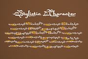 Bhorudyn - New Islamic Calligraphy, a Script Font by TypeClassHeroes (Thumbnail 7 of 10)