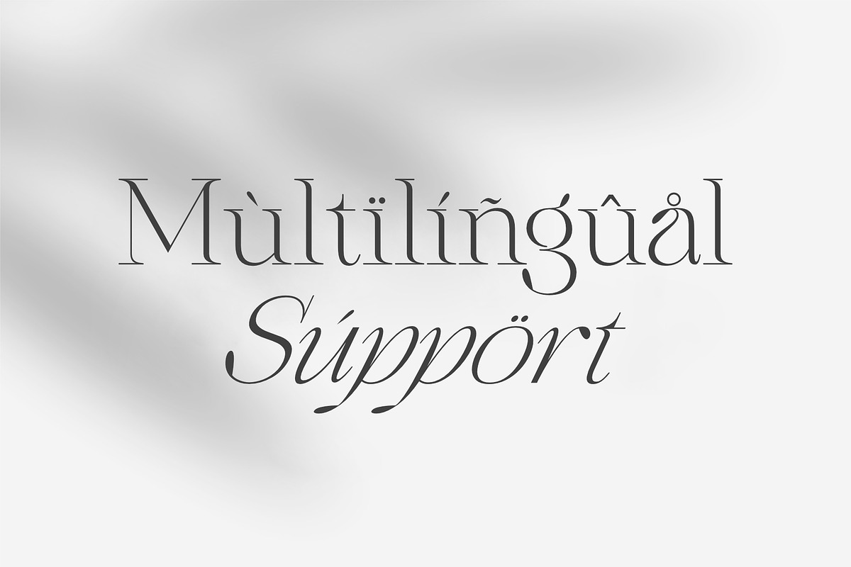 Qidango, a Serif Font by Sealoung (Photo 15 of 17)