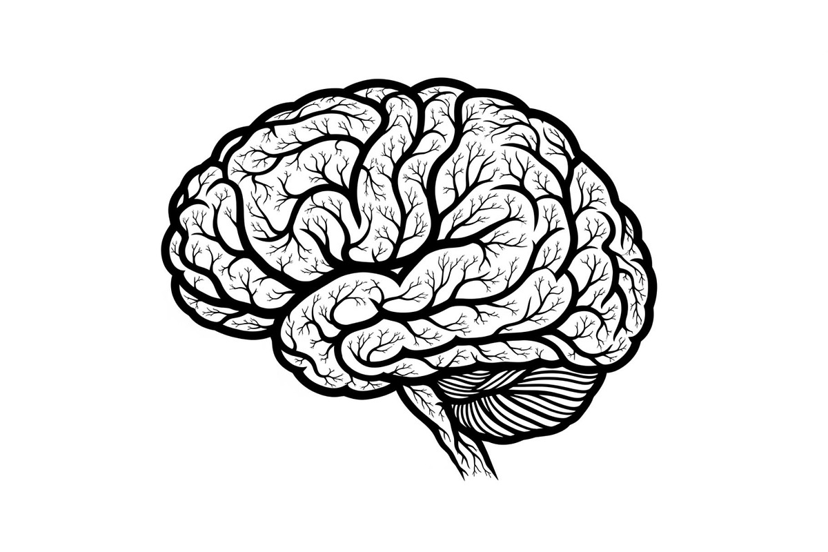 Brain Tree Knowledge Design Bundle, an Illustration by Gaye Art (Photo 13 of 31)