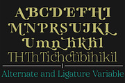 Quirlone, a Serif Font by Propertype (Thumbnail 10 of 10)