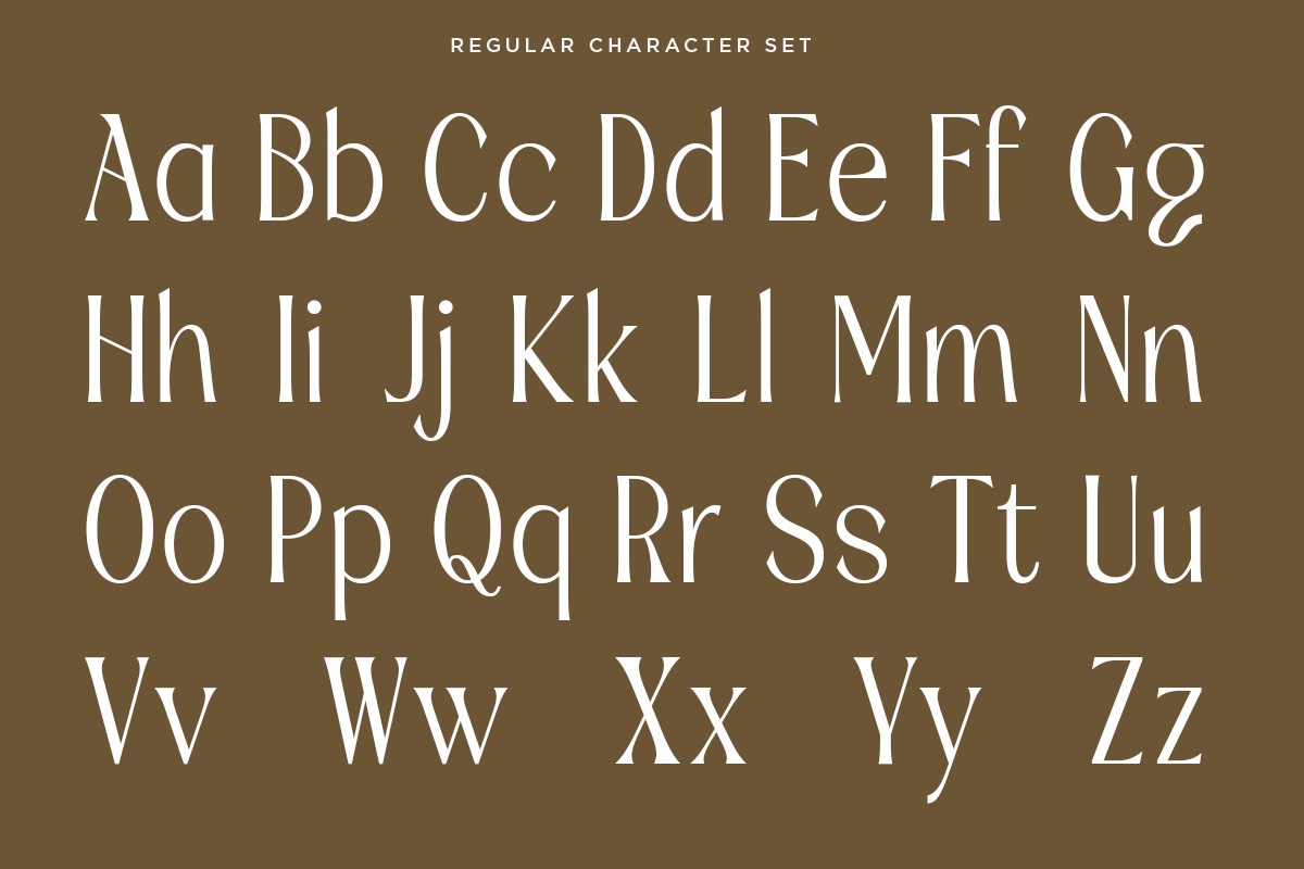 Fradesty - Luxury Serif Font, a Font by RagamKata (Photo 11 of 13)