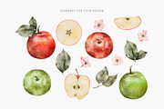 Watercolor fruits, Red apple, a Food Illustration by Daryartsy (Thumbnail 4 of 6)