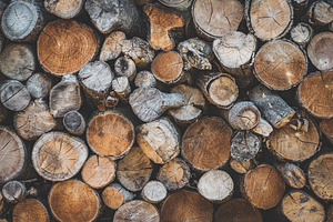 Stacked wood logs stock photo containing stacked wood logs and nature