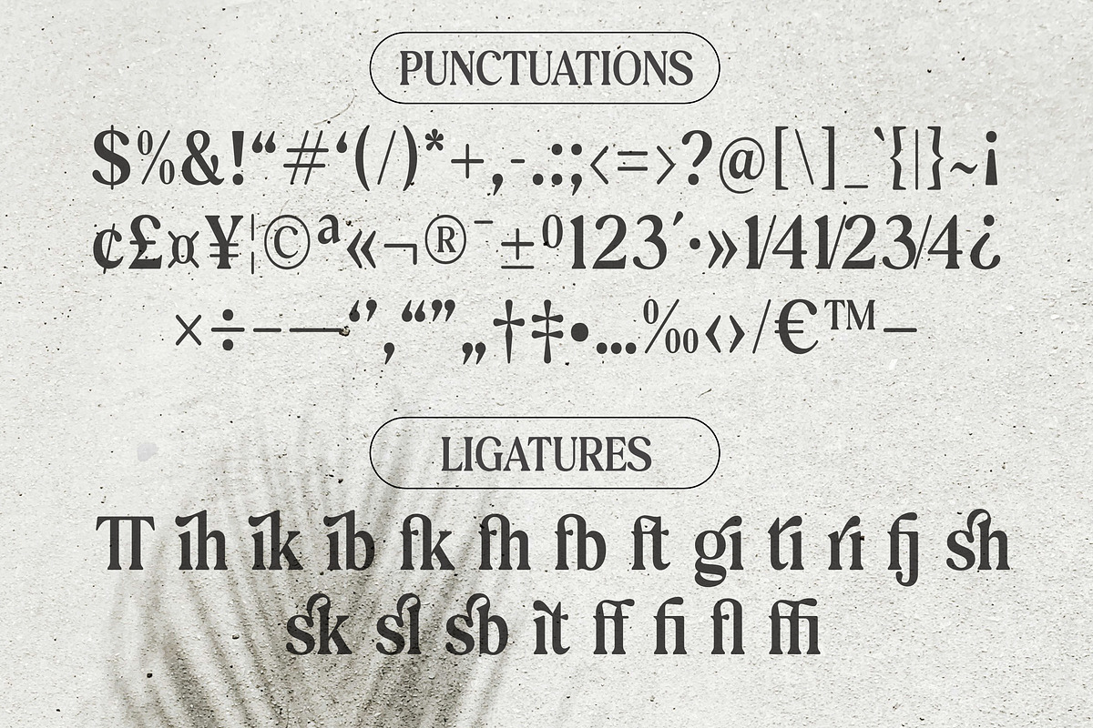 Exclusive Editorial - Retro Serif, a Serif Font by Dora Typefoundry (Photo 9 of 12)