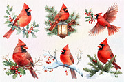 Red Cardinals Christmas Sublimation, an Illustration by Dream Creation (Thumbnail 2 of 7)