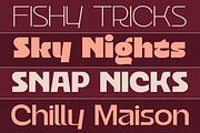 Vankis Font Family, a Sans Serif Font by zeenesia (Thumbnail 5 of 21)