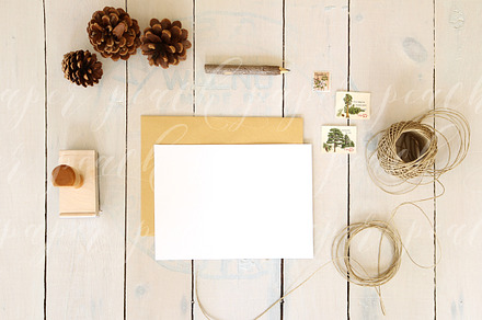 Stationery Mockup with Pinecones