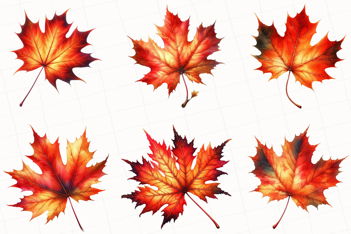 Watercolor Autumn Leaf Clipart, an Illustration by OK Design (Photo 5 of 5)