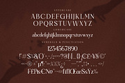 Madeline Modern Serif Font, a Serif Font by Storytype Studio (Thumbnail 13 of 15)